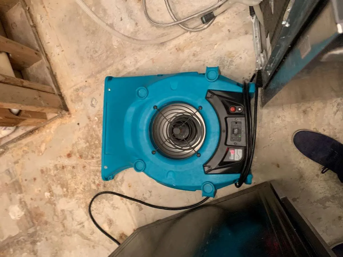 Air mover drying equipment for Mold Remediation & Removal in Littleton